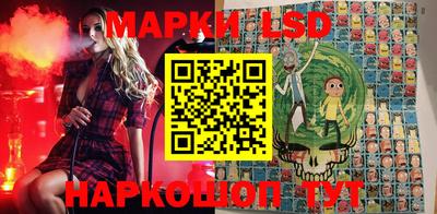 шишки Боровичи