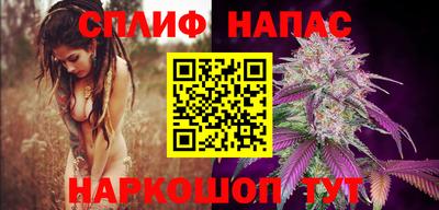 ГАЛЛЮЦИНОГЕННЫЕ ГРИБЫ Брянск