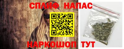 шишки Боровичи