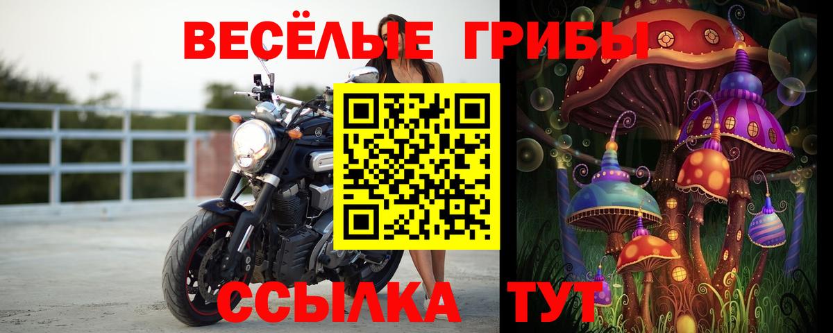 Галлюциногенные грибы прущие грибы  Вход с VPN  Вязники 